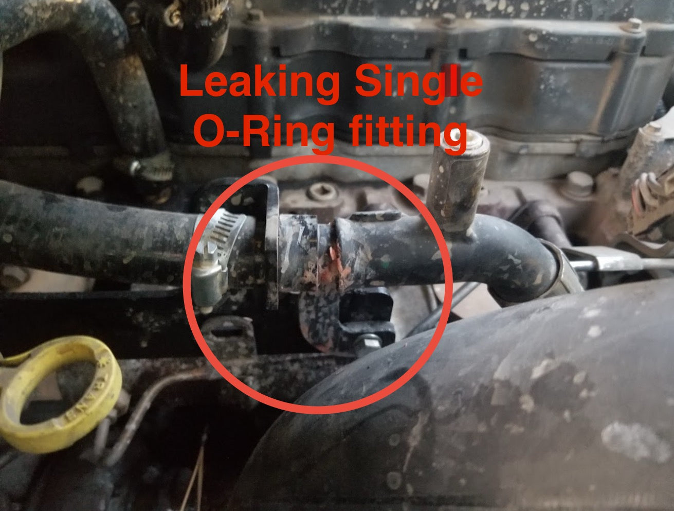 BMP 13-24 6.7 Cummins Dual O-ring Standpipe fitting fix kit - Black Market Performance